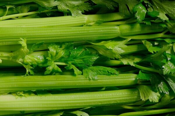 Groene selder (getopt)